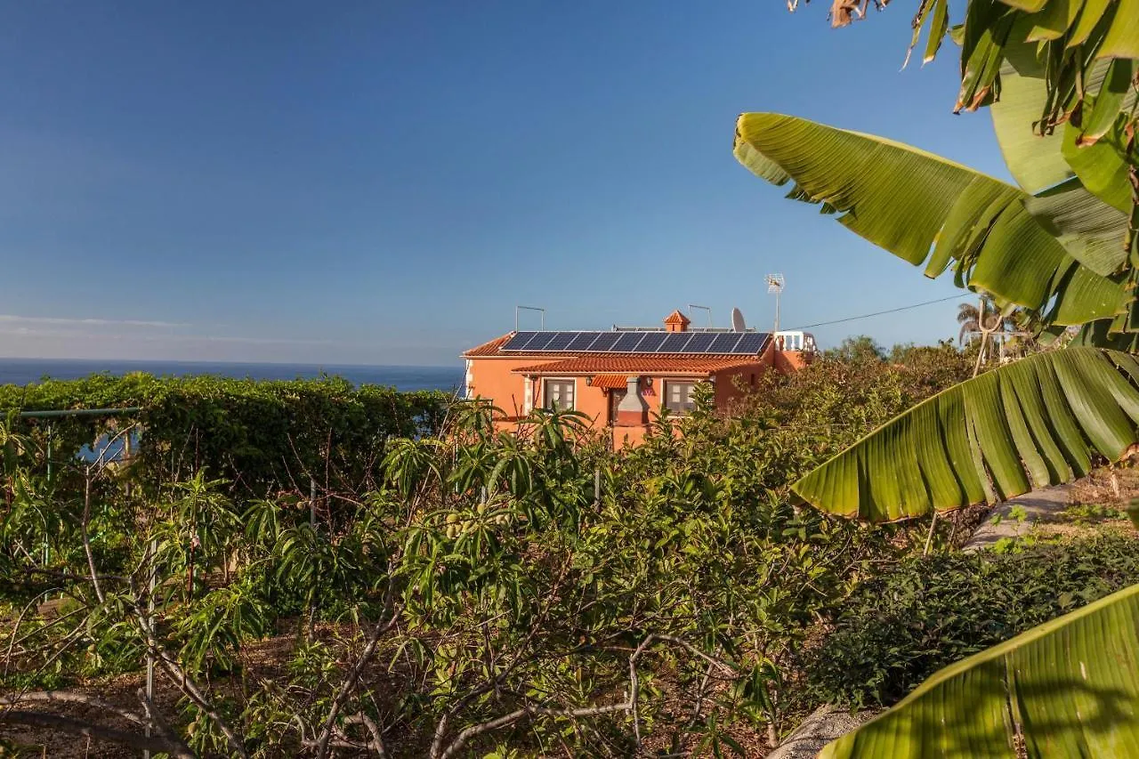 Casa Victor - Apartment Jorge La Orotava Spain